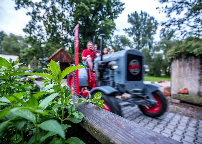 Luxus-chalet Am Fluss Holiday home